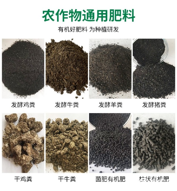自然韻味 牛糞堆肥的前世今生 —— 有機生命的點睛之筆